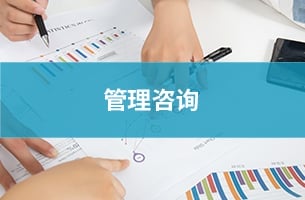 深圳堂堂会计师事务所管理咨询服务