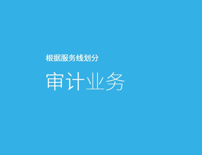 深圳堂堂会计师事务所|证券审计业务