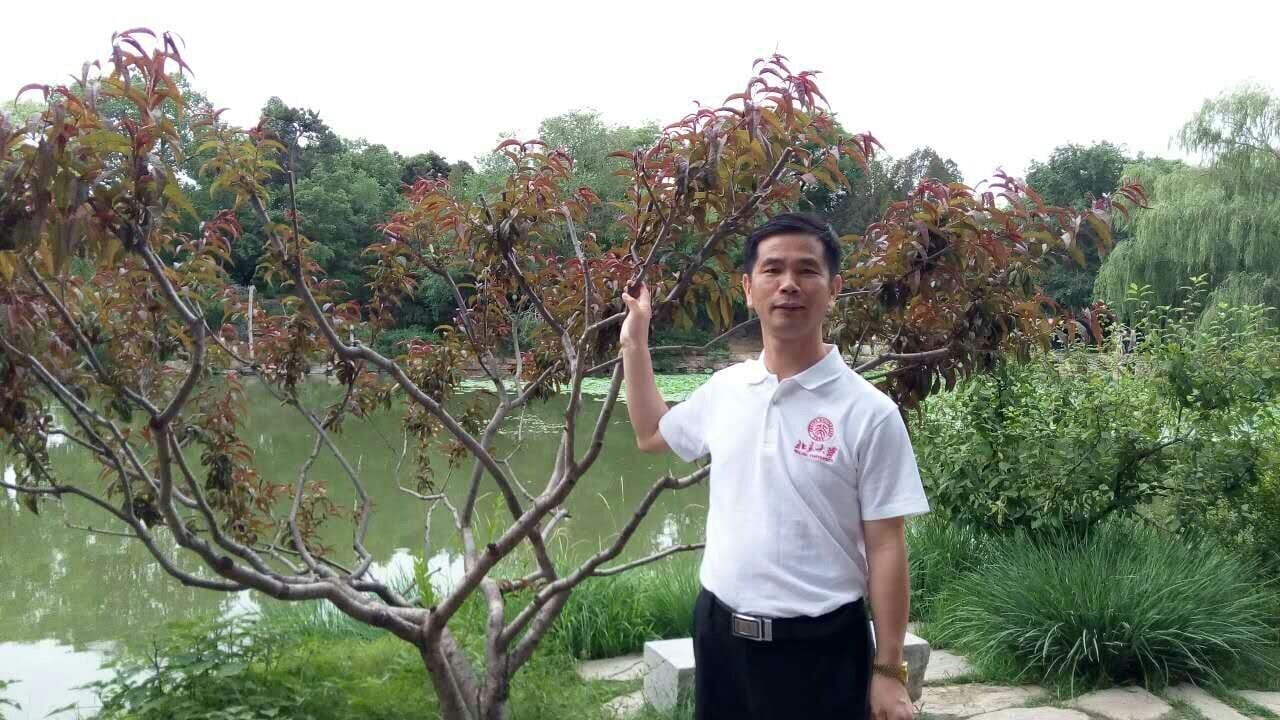 2015061277731225