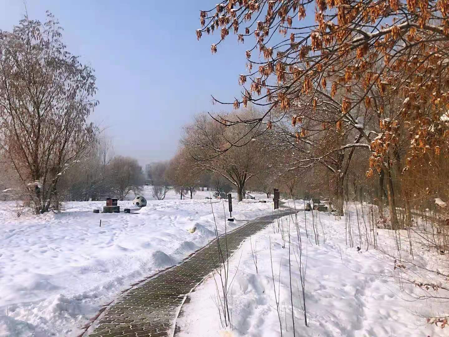 微信图片_20210111001900 微信图片_20210111001900
