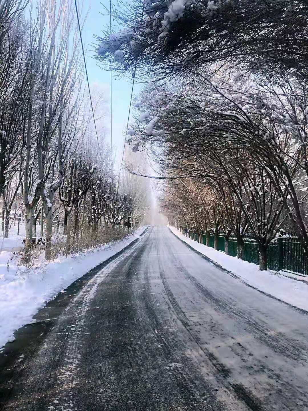 微信图片_20210111001929 微信图片_20210111001929