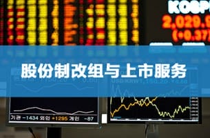 深圳堂堂会计师事务所|股份制改组与上市服务